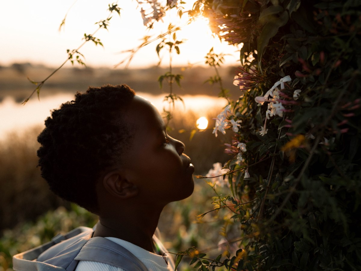 The best time for your photoshoot: understanding natural&nbsp;light
