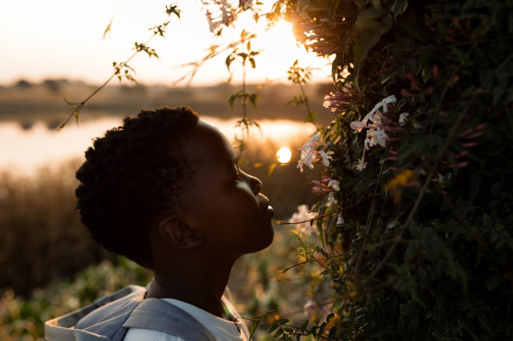 The best time for your photoshoot: understanding natural&nbsp;light