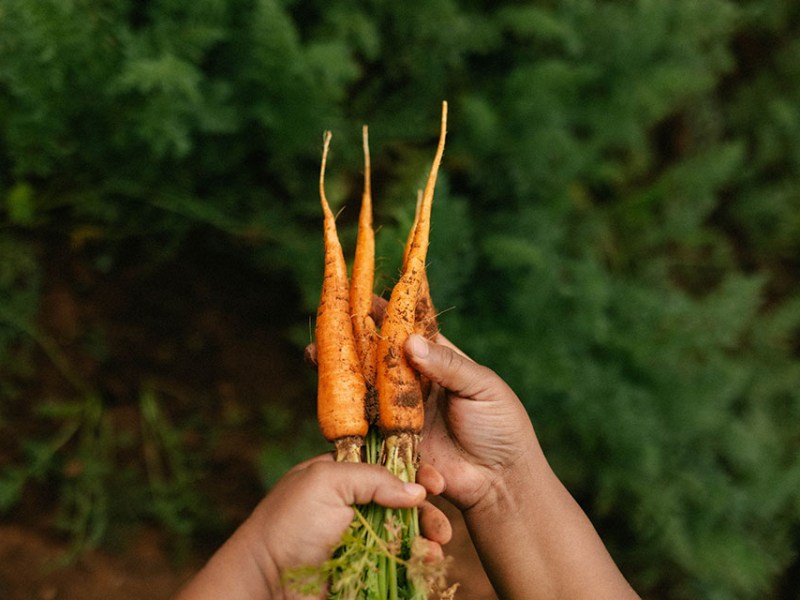 Winner: Local story through your Lens (with&nbsp;video)