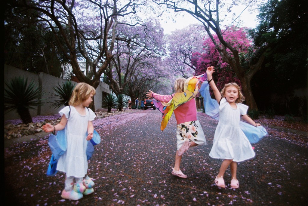 children dancing in the jacarands in kodak gold