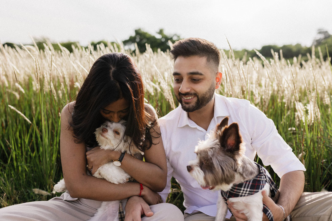 Pet-inclusive engagement photography Johannesburg with 2 yorkshire terriors in golden hour johannesburg