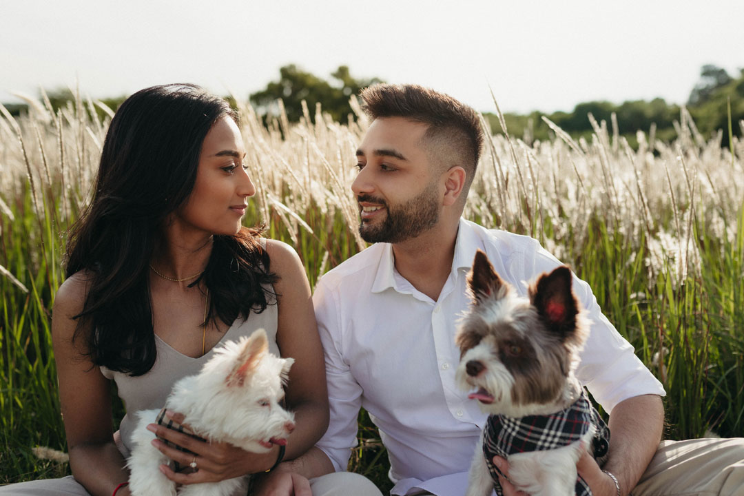 Pet-inclusive engagement photography Johannesburg with 2 yorkshire terriors