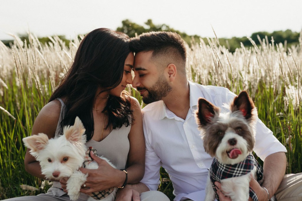 Golden fields engagement photoshoot in&nbsp;Johannesburg