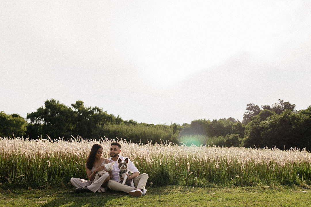 Couple's engagement shoot golden fields with pets