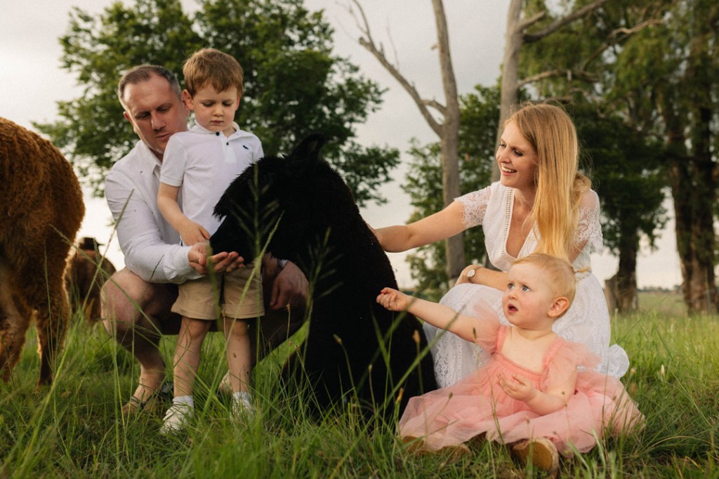 Alpaca my camera for this level of&nbsp;cute